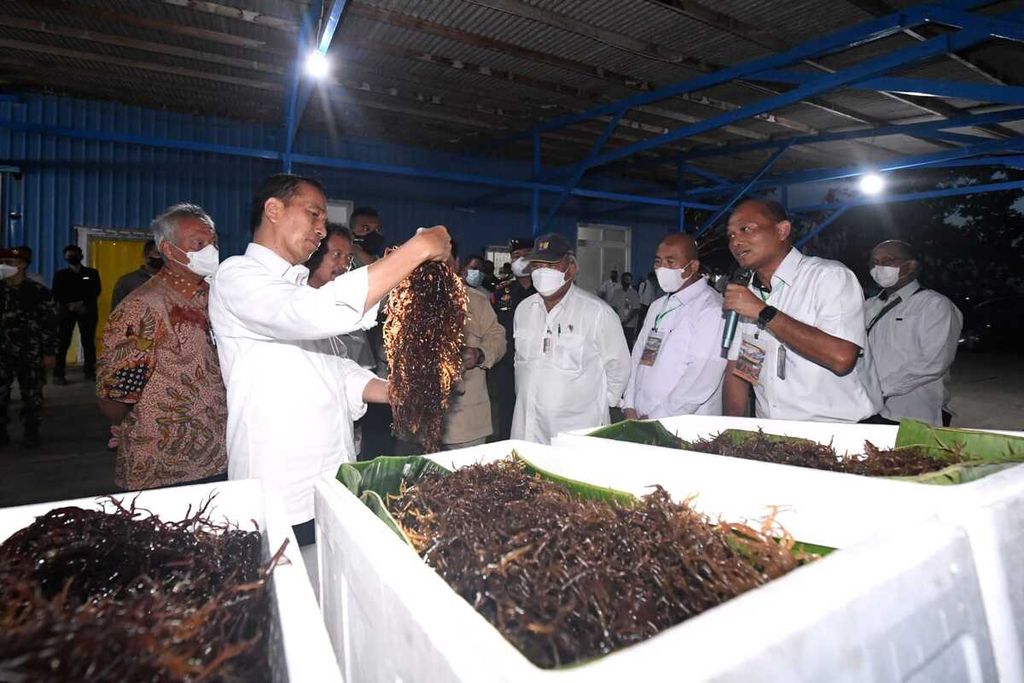 Presiden Joko Widodo meninjau unit pengolahan ikan di PT Samudera Indo Sejahtera, Kota Tual, Maluku, Rabu (14/9/2022) malam. Presiden juga bertemu dengan para nelayan dan pembudidaya rumput laut.