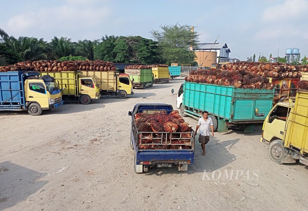 Para pemasok buah sawit mengantre untuk dapat memasok tandan buah segar ke pabrik pengolahan minyak sawit di Kabupaten Muaro Jambi, Senin (18/7/2022). Harga buah sawit di wilayah itu kini mencapai Rp 1.200 per kilogram.