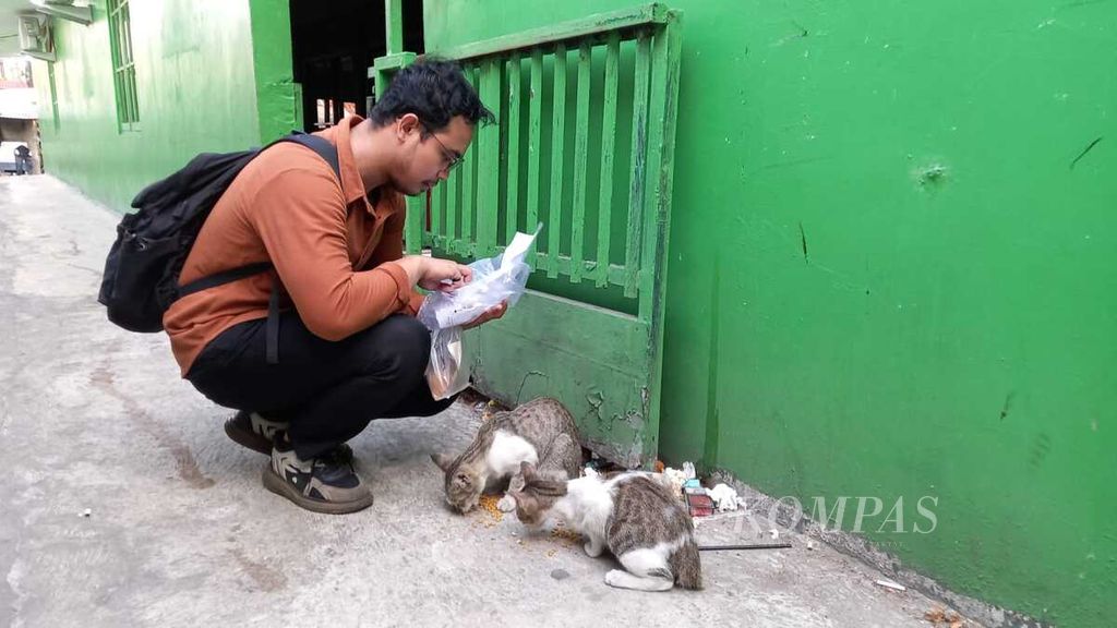 Fikri Awaludin (25), seorang guru privat, memberikan makanan pada kucing liar di Kebayoran Lama, Jakarta Selatan, Selasa (26/9/2023). Ia merasa ada tanggung jawab untuk berbagi rezeki pada kucing liar.