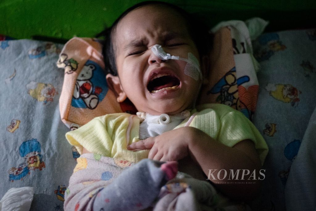 Nasifa (3) terbaring di rumahnya di Kota Batam, Kepulauan Riau, Selasa (13/6/2023). Anak balita itu adalah salah satu korban obat sirop mengandung etilen glikol (EG) dan dietilen glikol (DEG) yang mampu bertahan, tetapi kemudian mengalami kelumpuhan.
