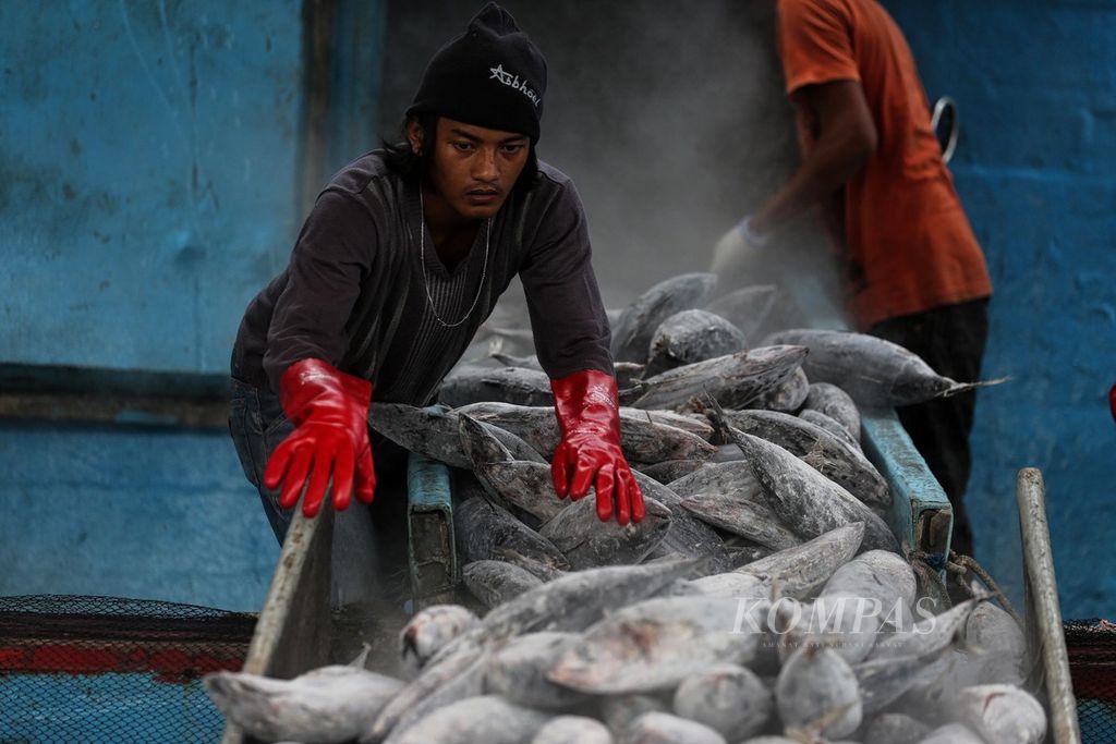 Pekerja borongan mengeluarkan ikan tongkol dari lambung kapal di Pelabuhan Perikanan Samudera Nizam Zachman, Muara Baru, Jakarta Utara, Rabu (15/12/2021). 