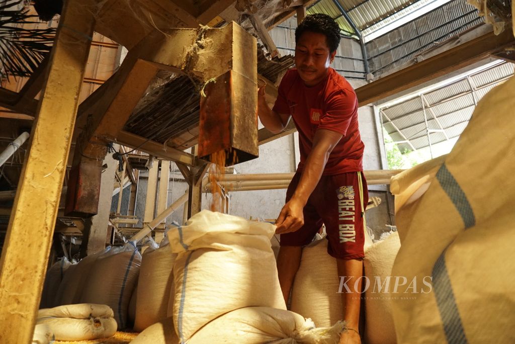 Karyawan di gudang jagung CV Kemiri Putih milik Lie Kian Lay di Kota Gorontalo, Provinsi Gorontalo, melakukan pengepakan, Jumat (2/12/2022).
