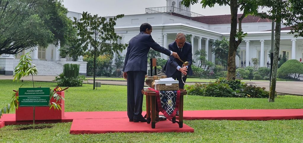 Seusai menanam pohon bersama, Presiden Joko Widodo dan PM Australia Anthony Albanese bergantian menuangkan air untuk mencuci tangan mitranya. Ini adalah kunjungan pertama PM Albanese ke luar negeri. Presiden Jokowi menyambut di Istana Kepresidenan Bogor, Senin (6/6/2022).