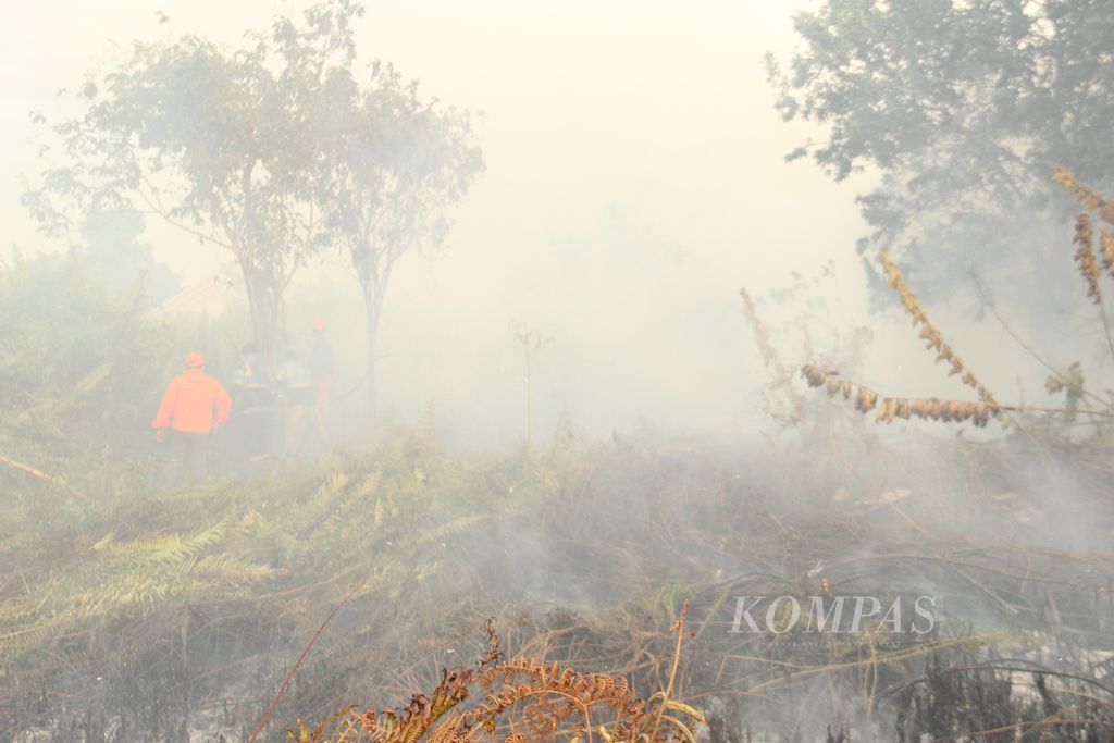 Kebakaran lahan gambut di Kota Pontianak, Kalimantan Barat, Kamis (3/3/2022).