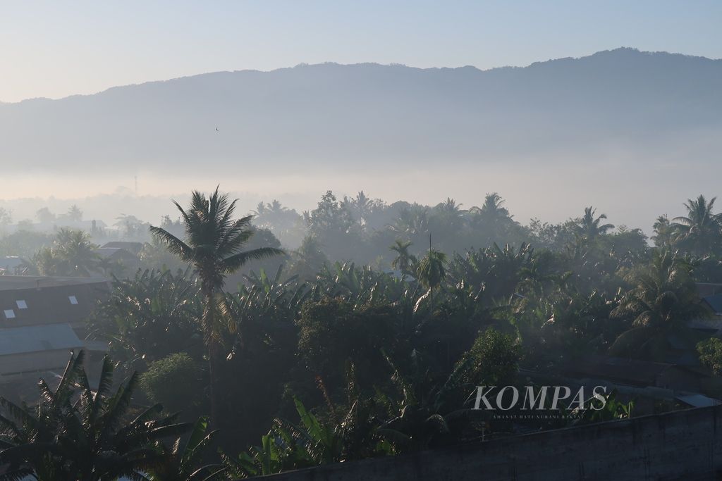  Berbagai pohon pisang dan kelapa tumbuh subur di Wetabua, Kabupaten Alor, Nusa Tenggara Timur, Sabtu (14/9/2024). 