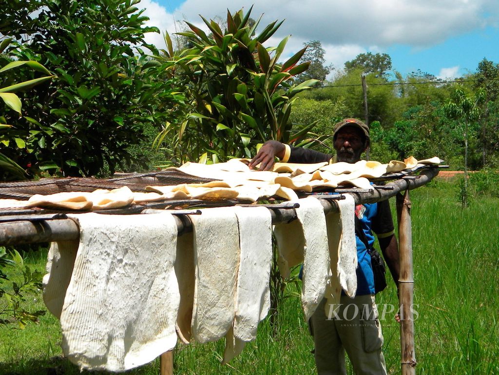 Modestus Kosnan (48) menjemur karet lembaran di Kampung Erambu, Distrik Sota, Merauke, Papua, Jumat (19/4). Usaha kebun karet menjadi sumber penghasilan bagi sebagian warga Erambu.