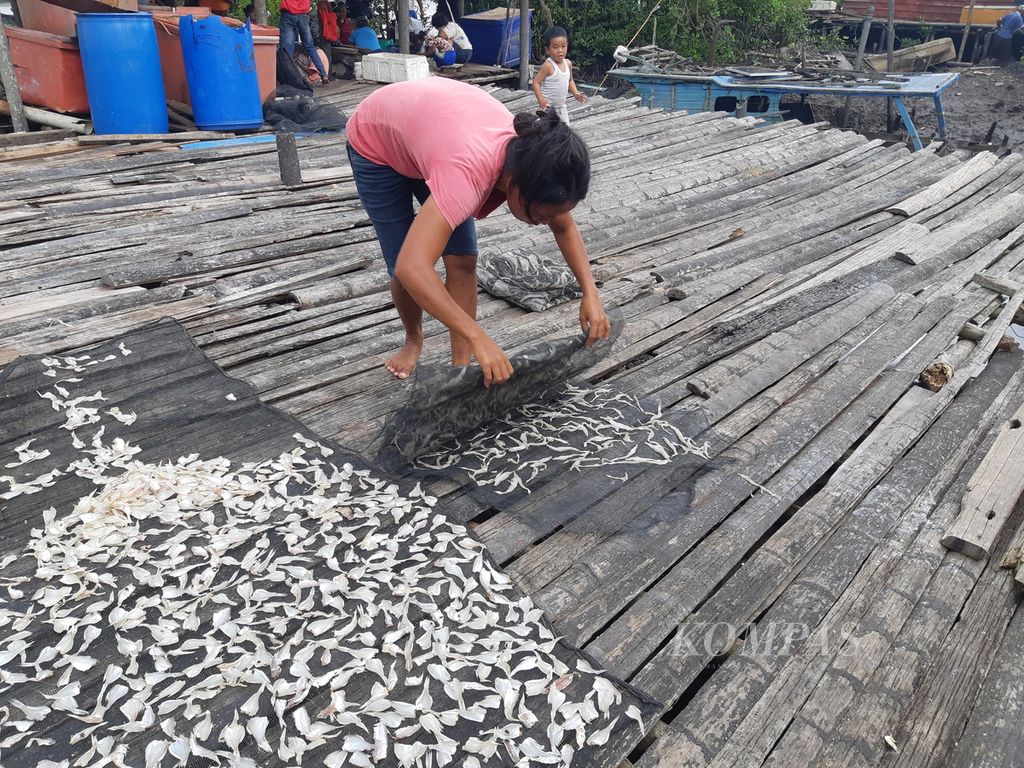 Warga Suku Asli menjemur hasil laut yang ada di bibir pantai yang ada di Desa Teluk Pambang, Bengkalis, Riau, Rabu (10/7/2024). Menjadi nelayan adalah salah satu mata pencarian dari warga Suku Asli yang bermukim di pesisir pantai.