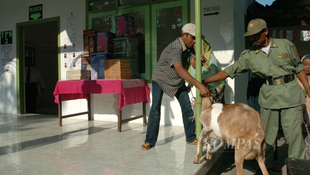 Dua petugas mengikat seekor kambing yang menjadi hadiah utama yang akan diundi bagi warga yang menggunakan hak suara mereka di TPS 2 Desa Kemasantani, Kecamatan Gondang, Kabupaten Mojokerto, Rabu (24/8/2005). 