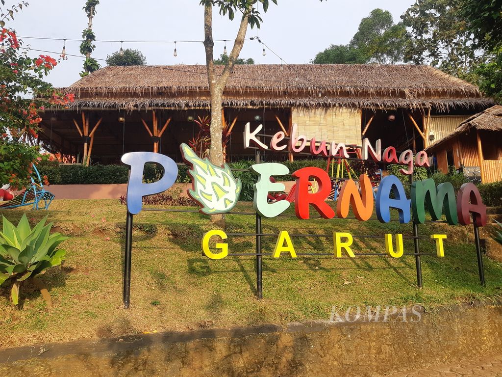 Suasana Kebun Naga Poernama di Desa Bayongbong, Kecamatan Bayongbong, Kabupaten Garut, Jawa Barat, Rabu (14/6/2023). 