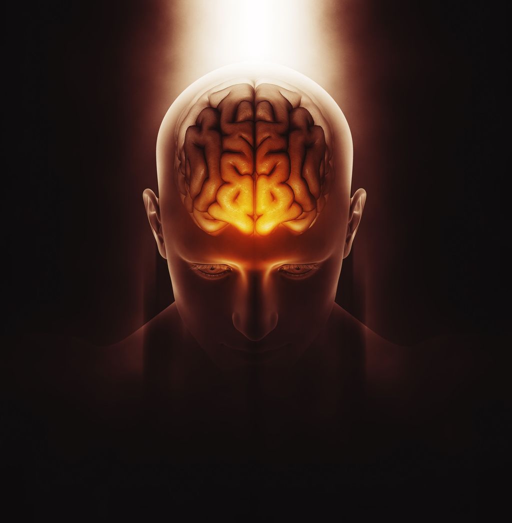 Three-dimensional image of the human brain