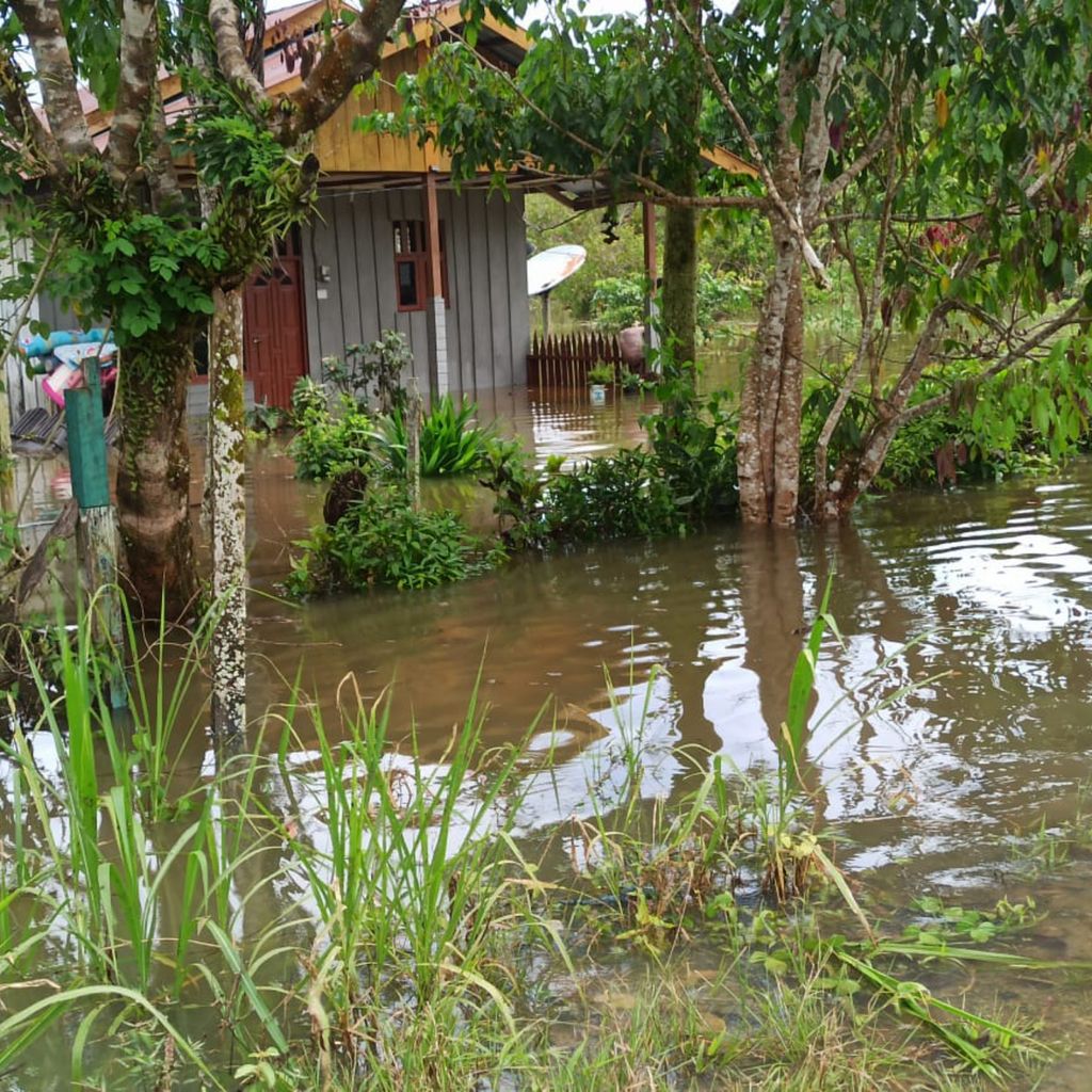 Rumah warga yang terdampak banjir di Kabupaten Nabire.