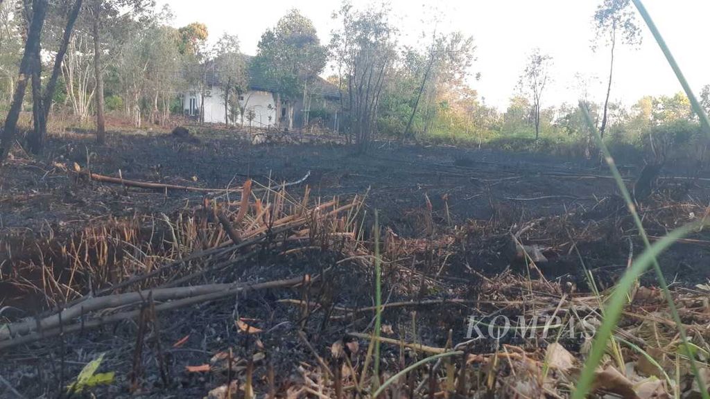 Kebakaran lahan di Jalan Lamtorogung, Kota Palangkaraya, Kalimantan Tengah, usai dipadamkan tim gabungan dari BPBD Kota Palangkaraya, relawan pemadam kebakaran, dan Manggala Agni Kalteng, Senin (29/7/2024). Sebagian lahan yang terbakar merupakan tanah bergambut. 