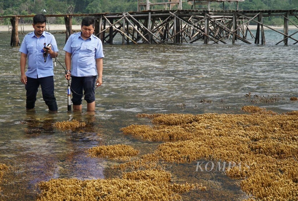 Peneliti dari Loka Riset Sumber Daya dan Kerentanan Pesisir Kementerian Kelautan dan Perikanan (KKP) Padang memeriksa kualitas air di sekitar terumbu karang yang mengalami proses pemutihan di Pantai Manjuto, Nagari Sungai Pinang, Pesisir Selatan, Sumatera Barat, Senin (21/10/2019).