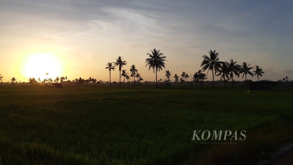 Suasana saat matahari terbit di persawahan Bakateu, Betun, Kabupaten Malaka, Nusa Tenggara Timur pada Jumat (9/10/2020).