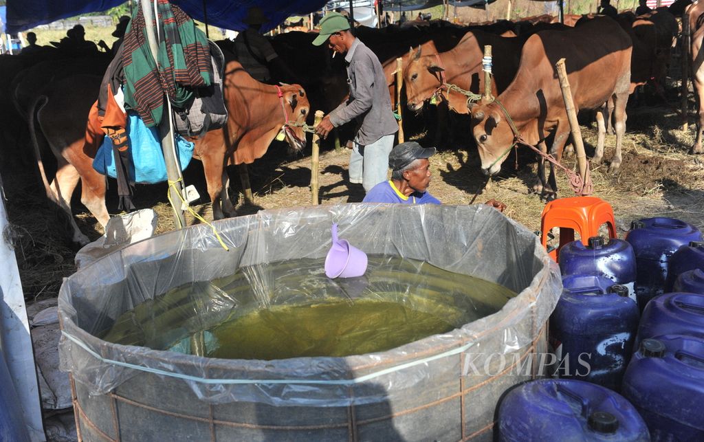 Tempat penyimpanan air di pusat penjualan hewan kurban di kawasan Merr, Surabaya, Jumat (23/6/2023). Menurut salah satu penjual Misnun, banyak penjual tidak bisa menyanggupi permintaan sapi dengan berat di atas 800 kg karena sapi-sapi besar banyak yang menjadi korban wabah penyakit mulut dan kuku tahun lalu. 