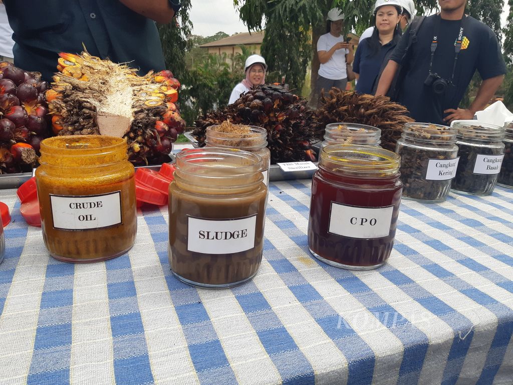 Berbagai jenis hasil olahan turunan sawit seperti minyak sawit mentah (<i>crude oil</i>) dan minyak sawit kotor (sludge) yang bisa diolah menjadi macam-macam produk turunan.