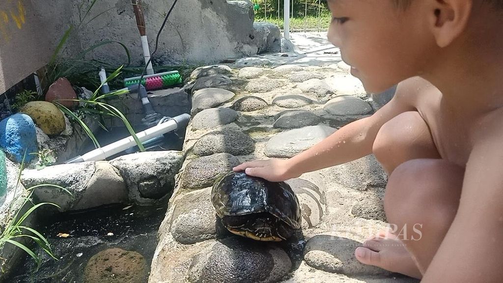 Seusai berenang, seorang anak bermain, mengelus kura-kura di <i>mini zoo </i>di Balkondes Wanurejo, Kecamatan Borobudur, Kabupaten Magelang, Jawa Tengah, Minggu (1/5/2022).