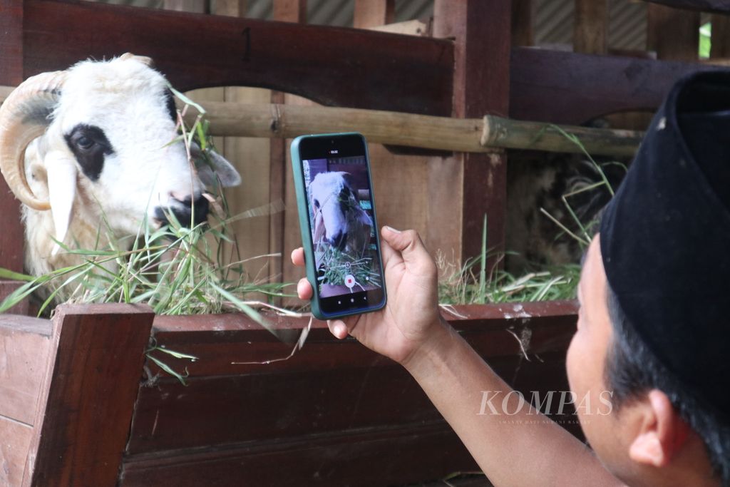Muhammad Shobirin merekam dombanya di Santri Tani Farm, Desa Sampih, Kecamatan Susukanlebak, Kabupaten Cirebon, Jawa Barat, Senin (4/7/2022). Untuk mengantisipasi penyebaran penyakit mulut dan kuku, Santri Tani Farm menjual ternak kurban via media sosial.