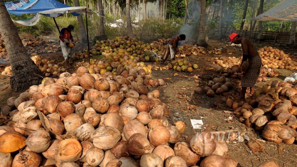 Buruh mengupas sabut kelapa sebelum dijadikan kopra di Desa Parak, Kecamatan Bontomanai, Kepulauan Selayar, Selasa (24/10/2017). 