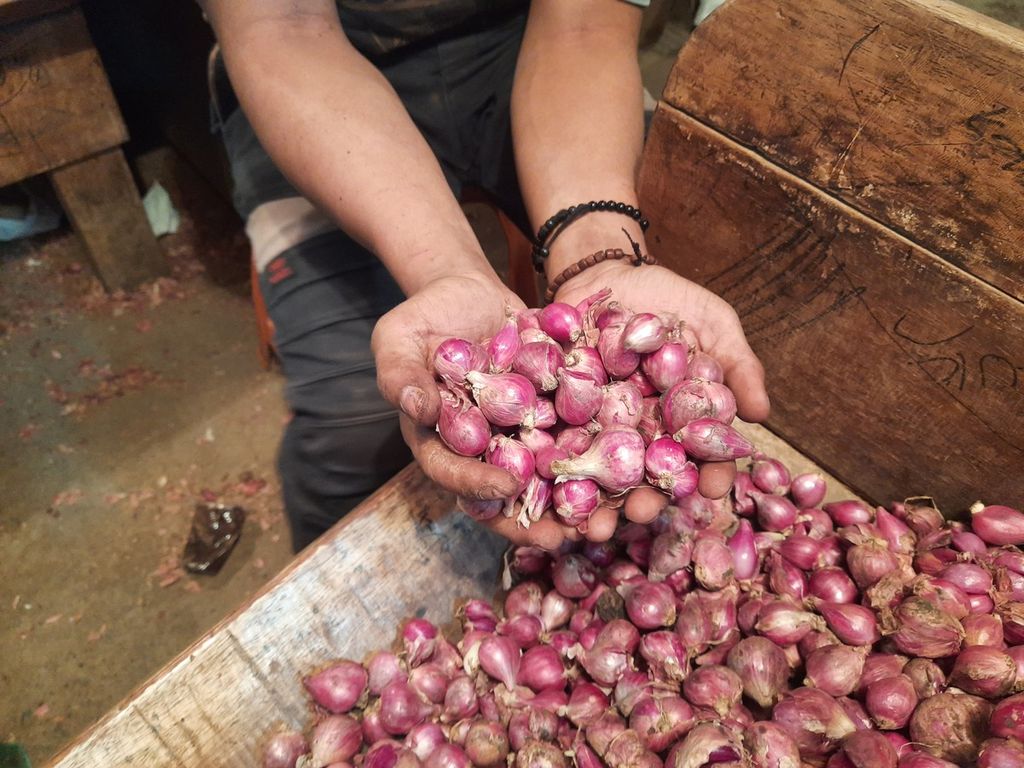 Pedagang, Wawan (23), menunjukkan bawang merah dagangannya di Pasar Induk Kramat Jati, Jakarta, Kamis (27/4/2023). Ia memasok bawang merah dari sejumlah tempat, antara lain Brebes, Jawa Tengah, dan Bandung, Jawa Barat.