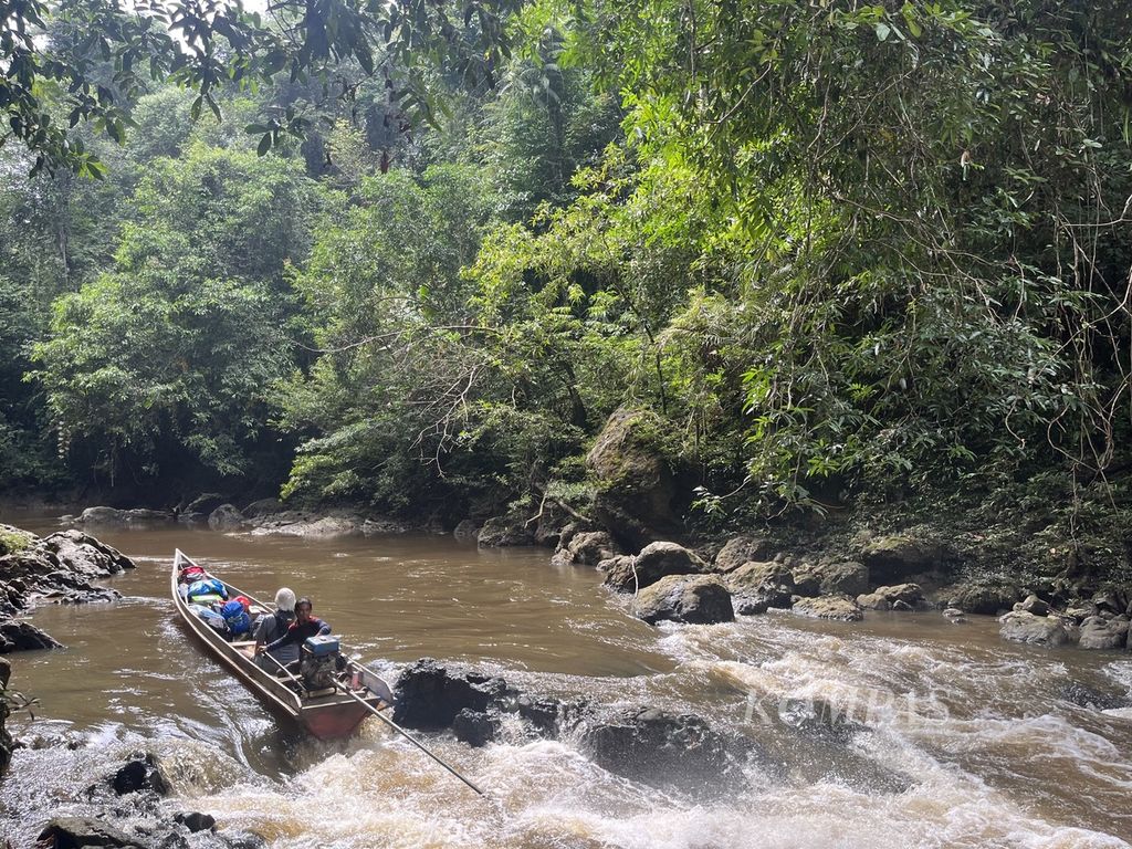 Para peneliti MRIN harus mengarungi Sungai Sajau untuk menemui Punan Batu di hidup di hutan Sajau Benau, Kabupaten Bulungan, Kalimantan Utara, Rabu (18/1/2023). Upaya ini merupakan bagian dari penelitian untuk mengetahui ekspresi gen terhadap perubahan gaya hidup dan pola konsumsi masyarakat pemburu dan peramu. 