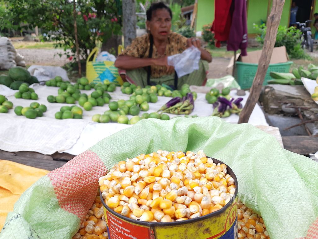 Biji jagung kering dijual di Pasar Betun di Kabupaten Malaka, Nusa Tenggara Timur, Jumat (20/1/2023) petang. Banyak masyarakat di daerah itu menjadi jagung sebagai makanan pokok mereka.