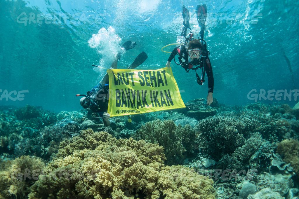 Aktivis Greenpeace membentangkan spanduk saat menyelam di perairan Raja Ampat saat Rainbow Warrior buang jangkar di wilayah Papua Barat. Greenpeace mendesak perlindungan terumbu karang dan laut oleh Pemerintah Indonesia.