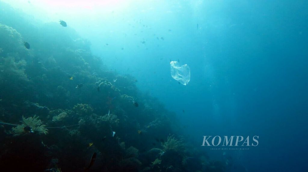 Sebuah sampah plastik berupa kantong plastik transparan melayang-layang di kolom air di Perairan Pulau Tomia, Kabupaten Wakatobi, Sulawesi Tenggara, Minggu (27/1/2019). 