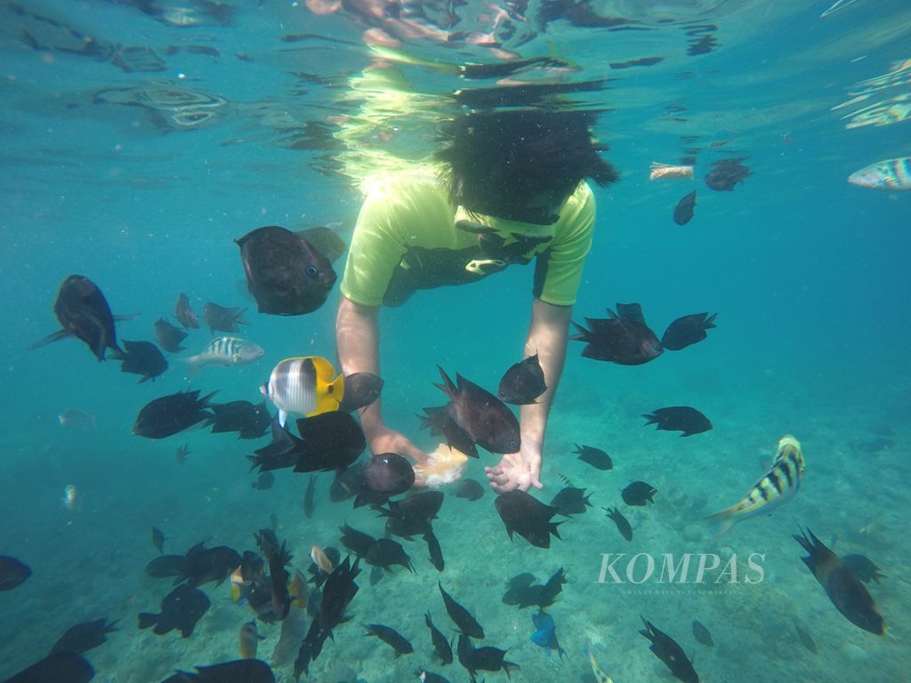 Wisatawan berenang bersama beragam ikan di perairan Taman Nasional Bunaken, Manado, Sulawesi Utara, pada Sabtu (27/3/2021).