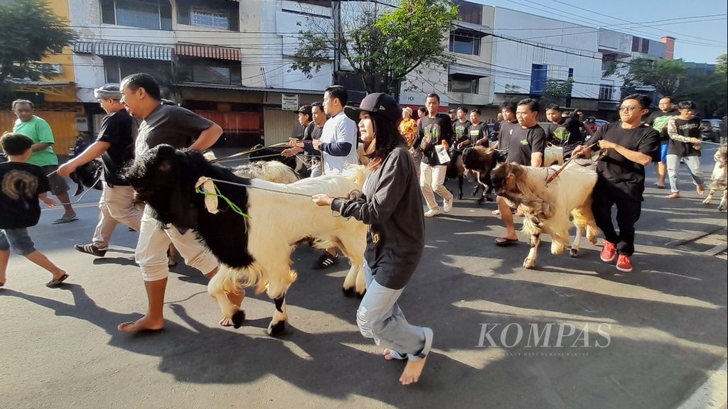Warga Kampung Tumenggungan Barat, Kelurahan Sukoharjo, Kecamatan Klojen, Kota Malang, Jawa Timur, mengarak kambing yang hendak menjadi hewan kurban pada Hari Raya Idul Adha 1443 H, Minggu (10/7/2022).