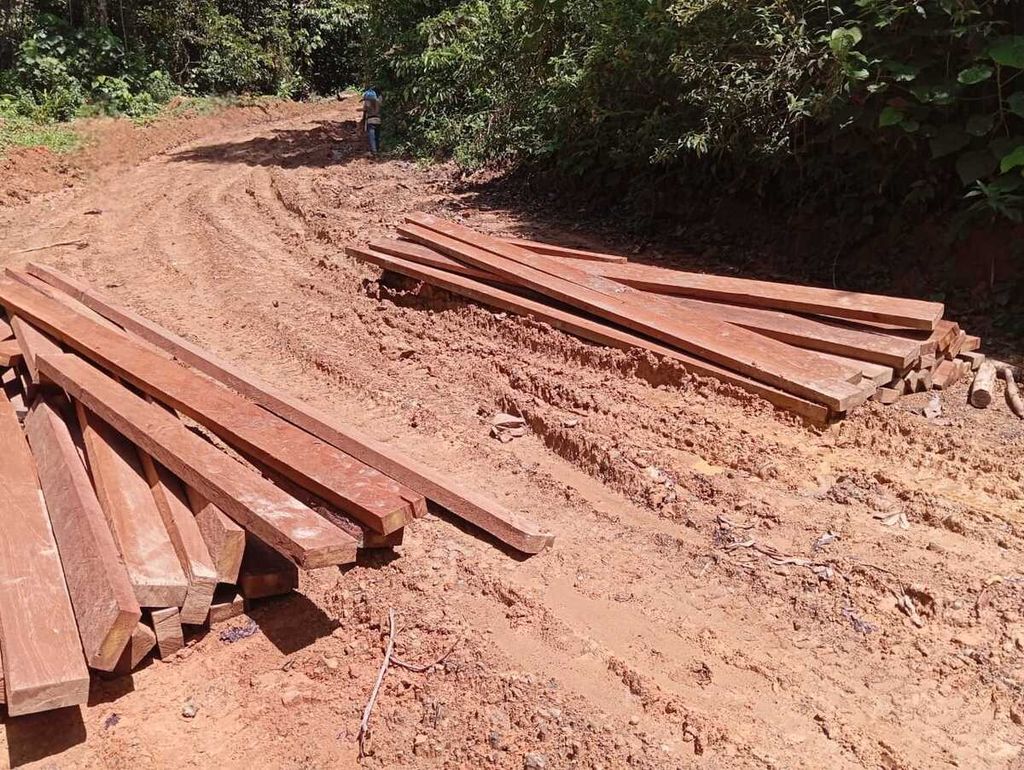 Kayu yang diduga dari hasil pembalakan liar di kawasan hutan adat Mukim Krueng, Kecamatan Peudada, Kabupaten Bireuen, Aceh, Selasa (22/5/2024).