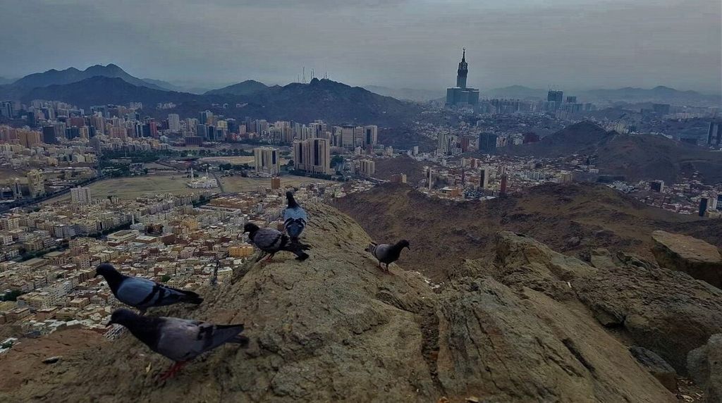 Saat pagi tiba, beberapa burung merpati bercengkerama di atas batu di dekat Goa Hira di puncak Jabal Nur di pinggiran Mekkah, Arab Saudi, Senin (1/8/2022) pagi. Burung-burung itu telah beradaptasi dengan lingkungan dan manusia yang kerap memberi makanan dan minuman.