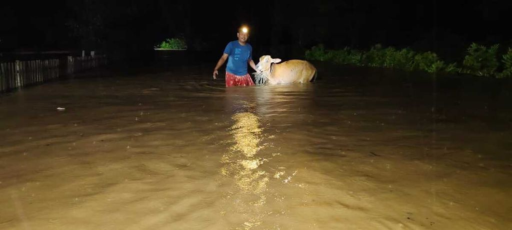 Seorang warga menyelamatkan hewan ternak dari genangan banjir di Desa Ie Jerengeh, Kecamatan Sampoiniet, Kabupaten Aceh Jaya, Provinsi Aceh, Minggu (12/5/2024). 