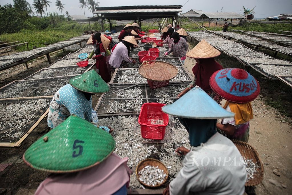 Buruh lepas perempuan bekerja sebagai pemilah ikan asin di pesisir Sumur, Pandeglang, Banten, Minggu (16/1/2022). Mereka mendapat upah Rp 5.000 setiap jam. Kegiatan tersebut mereka lakukan untuk menambah penghasilan keluarga.