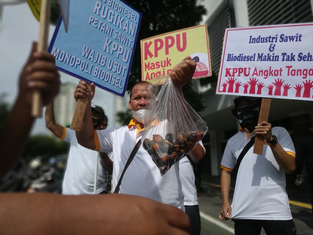 Aksi demonstrasi Serikat Petani Kelapa Sawit (SPKS) mendesak Komisi Pengawas Persaingan Usaha atau KPPU untuk mengusut dugaan praktik monopoli dan persaingan usaha tidak sehat dalam industri sawit dan program biodiesel di depan Gedung KPPU, Jakarta Pusat, Selasa (15/11/2022).