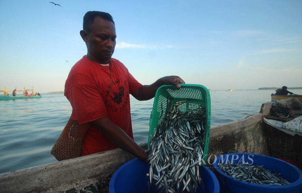 Nelayan menuangkan puri atau teri ke dalam ember sepulang mencari ikan di perairan Desa Selayar, Kecamatan Manyeuw, Kabupaten Maluku Tenggara, Maluku, Minggu (17/9/2023) pagi.