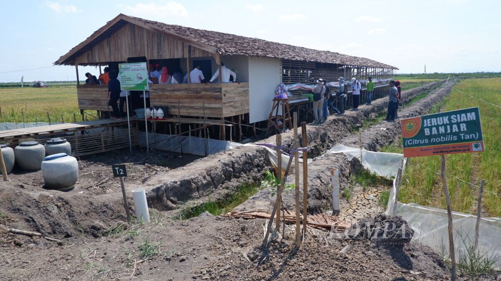 Pengunjung melihat peternakan itik di lokasi pertanian lahan rawa terpadu di Desa Jejangkit Muara, Kecamatan Jejangkit, Kabupaten Barito Kuala, Kalimantan Selatan, Rabu (6/11/2019).