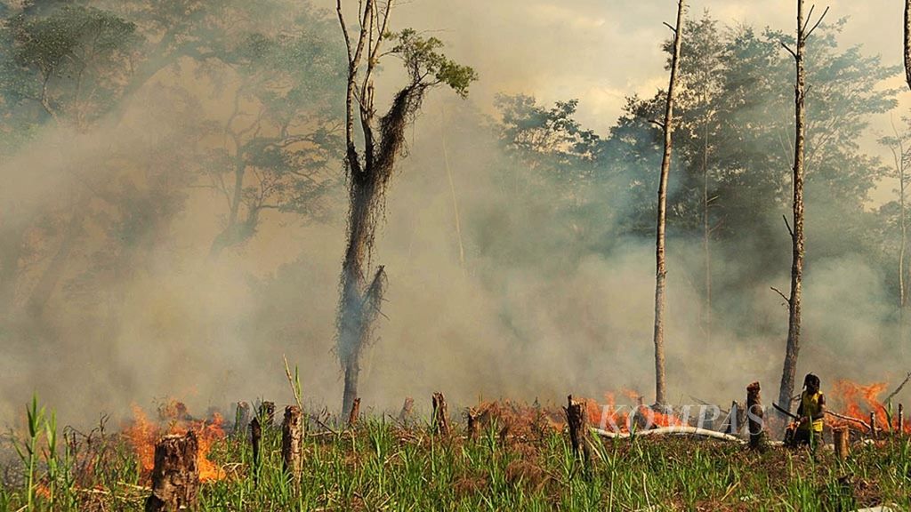 Memasuki kemarau, pembukaan lahan dengan cara dibakar marak dilakukan warga Lembah Baliem.