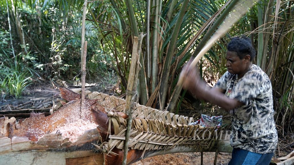 Pangkur sagu di Distrik Animha, Kabupaten Merauke, Papua, Jumat (11/11/2022). Potensi sagu tidak hanya besar dari keberagaman cara pengolahan dan hidangan, tetapi juga dari segi jumlah. Kata <i>tidak</i> lazim berpasangan dengan <i>tetapi </i>dalam struktur kalimat. 