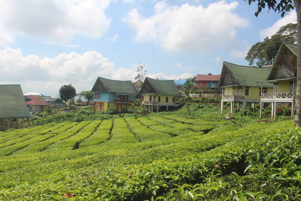Kondisi vila yang ada di tengah hamparan kebun teh yang berada di kawasan wisata Gunung Dempo, Pagar Alam, Sumatera Selatan, Sabtu (21/12/2019). Akibat isu konflik satwa, tingkat kunjungan menurun hingga 80 persen. Kondisi ini memukul pelaku usaha bidang pariwisata, terutama penginapan.
