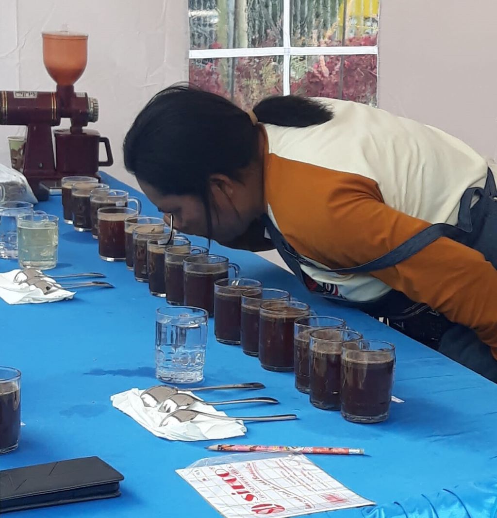 Marselina Walu sedang menguji kwalitas kopi dari kebun miliknya di desa Radamata Ngada NTT sebelum dikirim ke panitia lelang di Korea dan Thailand, Oktober 2023. Pengumuman hasil lelang, 8 Februari 2024 menempatkan Marselina Walu juara II dunia.