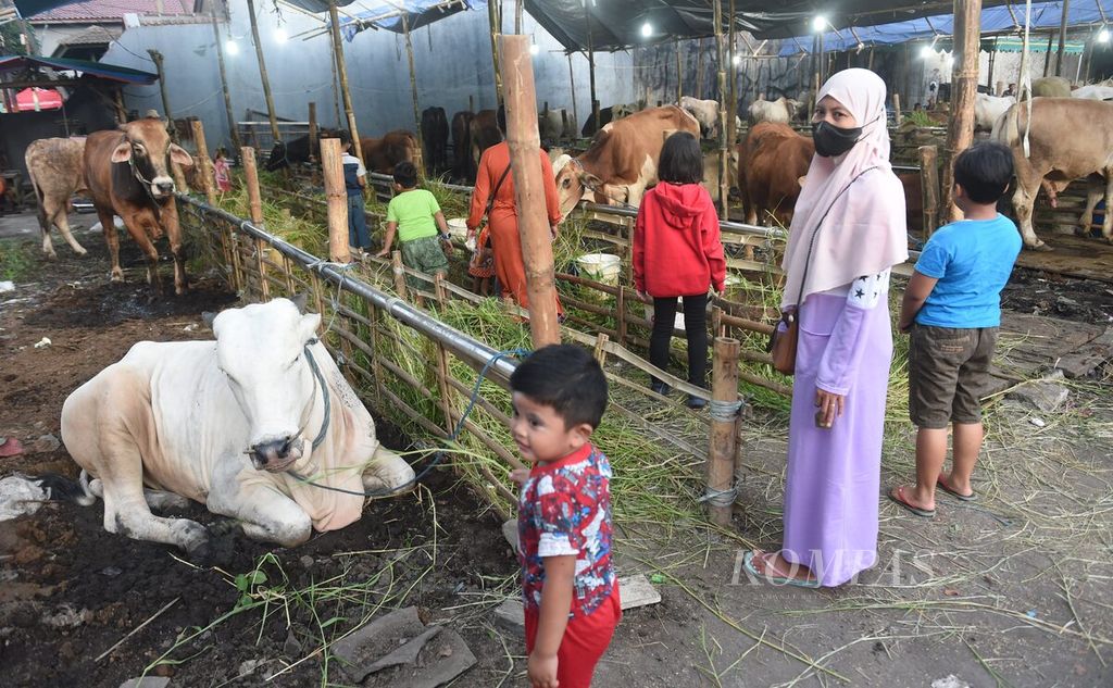 Warga melihat sapi kurban yang didatangkan dari Kabupaten Kediri yang dijual di daerah Semolowaru, Kota Surabaya, Jawa Timur, Jumat (24/6/2022). 
