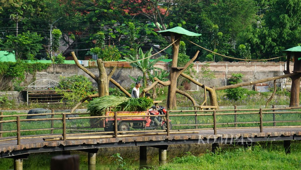 Petugas membawa pakan untuk satwa, di Solo Safari, Kota Surakarta, Jawa Tengah, Jumat (20/1/2023). Kebun binatang tersebut semula bernama Taman Satwa Taru Jurug. Setelah direvitalisasi, kebun binatang itu akan berganti nama menjadi Solo Safari.