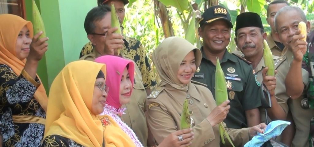 Ade Uu Sukaesih mengunjungi KWT Mekar Mulya di Dusun Karang Pucung RT 28 RW 10 desa balokang, kecamatan Banjar, Kota Banjar. Walikota Banjar berharap ibu-ibu mau bergabung menjadi anggota KWT (kelompok wanita Tani) yang bertujuan untuk ketahanan pangan. (12/4/2016)
