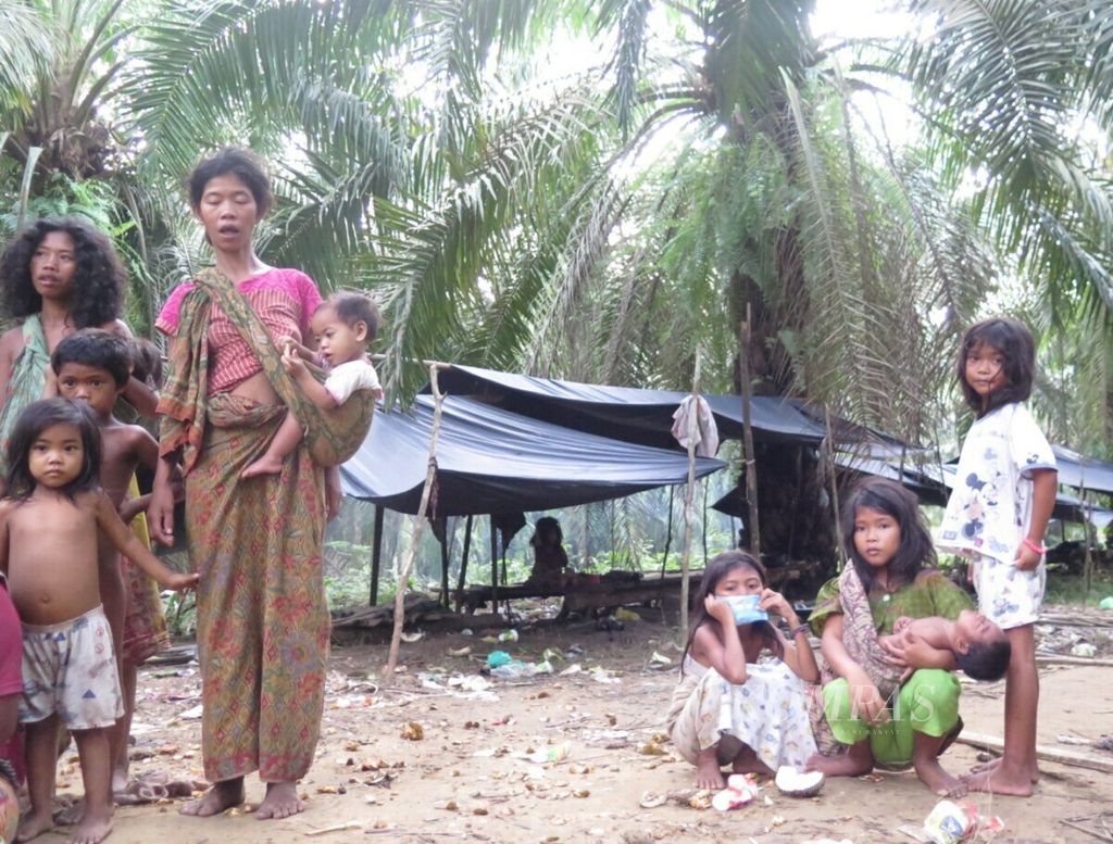 Komunitas adat Orang Rimba penghuni hutan penyangga Bukit Duabelas di Tabir Selatan, Merangin, Jambi, Senin (19/11/2018). 