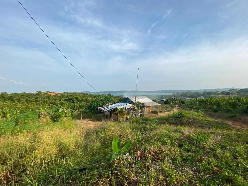 Kondisi lahan di Kampung Tanjung Banun, Kecamatan Galang, Pulau Rempang, Provinsi Kepulauan Riau, Selasa (26/9/2023),