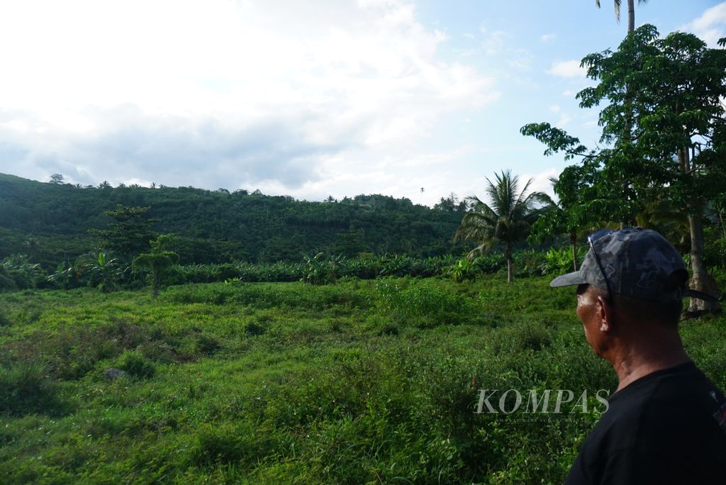 Perkebunan kelapa yang telantar di Desa Ratatotok Selatan, Belang, Minahasa Tenggara, Sulawesi Utara, Selasa (9/12/2023). Masyarakat Desa Ratatotok Selatan dan Tenggara kini sedang mendesak pemerintah untuk melakukan redistribusi lahan tersebut.