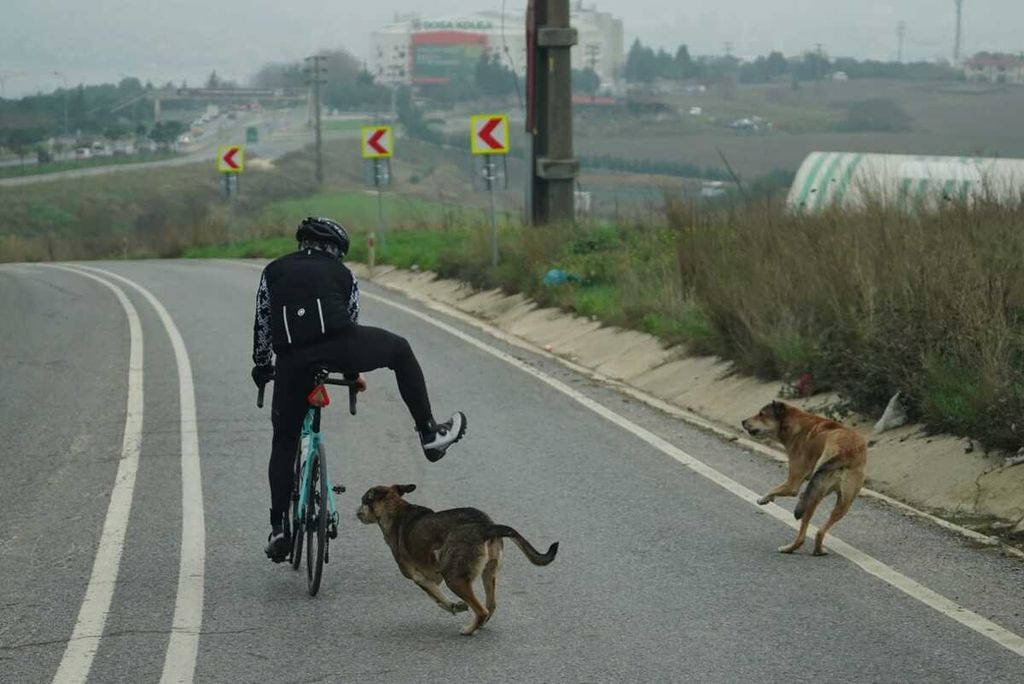 Pesepeda asal Indonesia yang tengah melakukan perjalanan Jakarta-Paris Royke Lumowa saat berada di Istanbul Turki.