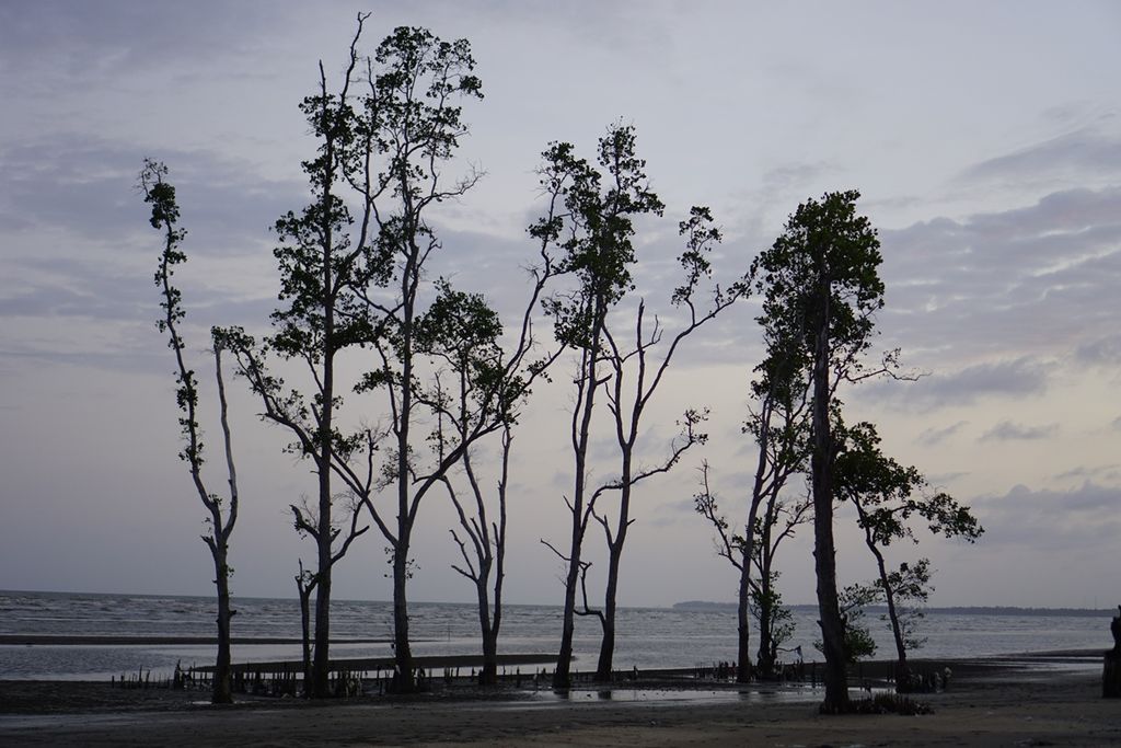 Setiap pertengahan tahun, ombak besar membawa berbagai sampah plastik ke pantai Ambalat, Kelurahan Amborawang Laut, Kecamatan Samboja, Kabupaten Kutai Kartanegara, Kalimantan Timur, Sabtu (24/8/2019).