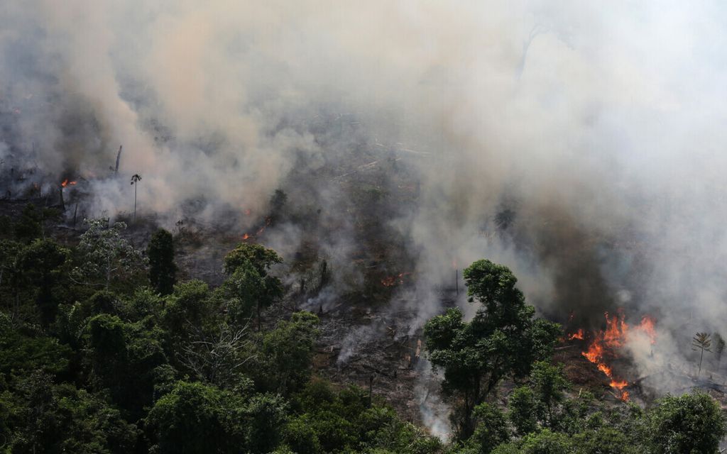 Foto udara dari sebidang hutan Amazon yang terbakar saat sedang ditebangi oleh para penebang dan petani di dekat kota Novo Progresso, negara bagian, Brasil, 23 September 2013.